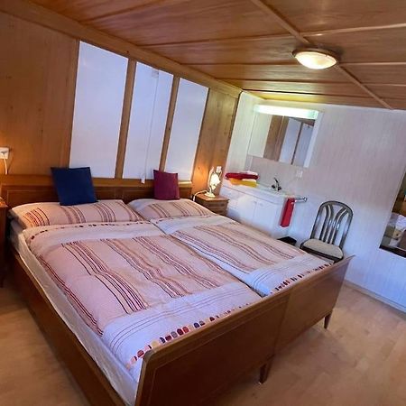 Apartment Chalet Im Sunnigen Usblick Wengen Zewnętrze zdjęcie